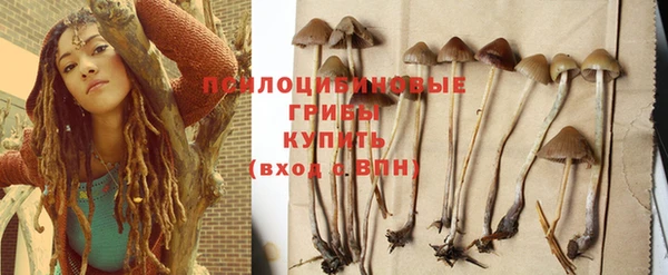 соль ск Горняк