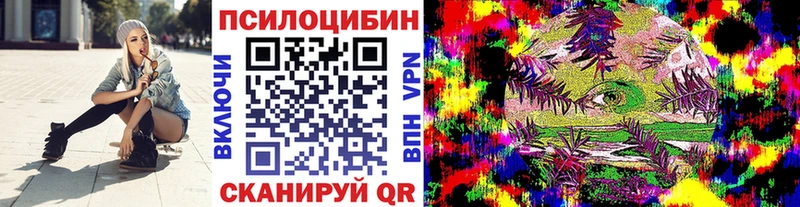 цены наркотик  Сольвычегодск  Псилоцибиновые грибы мухоморы 