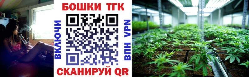 Канабис марихуана  MEGA ТОР  Сольвычегодск 
